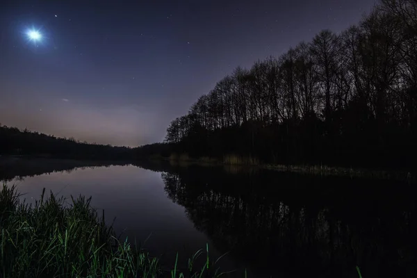 Nocny Park Wieczorne Niebo Gwiazdami Park Miejskim Jeziorze Odbiciami Wodzie — Zdjęcie stockowe