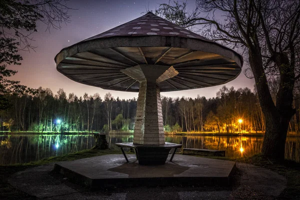 Nocny Park Wieczorne Niebo Gwiazdami Park Miejskim Jeziorze Odbiciami Wodzie — Zdjęcie stockowe