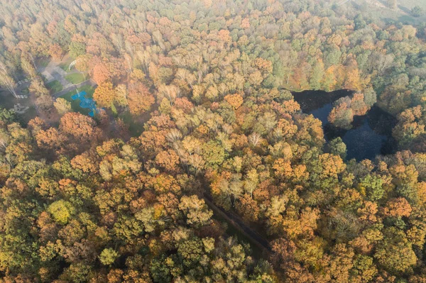 Zielony Park Mieście Góry Dąbrowa Górnicza Zielony Park Sylezji Widok — Zdjęcie stockowe