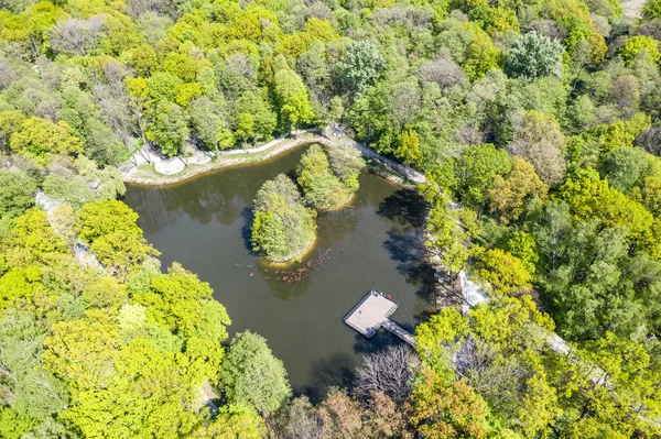 Grüner Park Der Stadt Von Oben Grüner Park Dabrowa Gornicza — Stockfoto