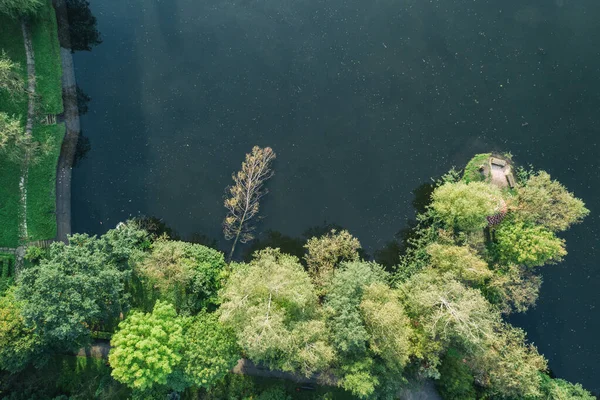 Árvore Caída Parque Cidade Com Lago Vista Árvores Verdes Drone — Fotografia de Stock