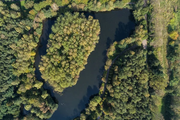 Park Staden Med Sjö Gröna Träd Utsikt Från Drönare Sosnowiec — Stockfoto