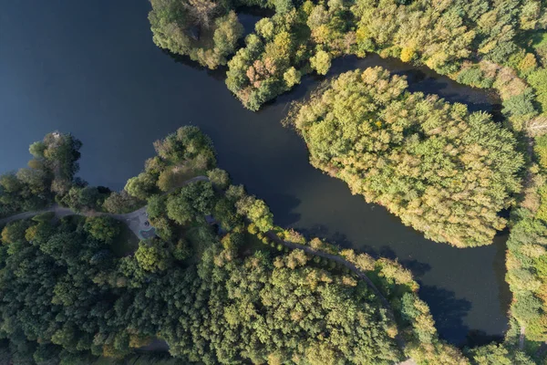 Park Der Stadt Mit See Blick Auf Grüne Bäume Von — Stockfoto