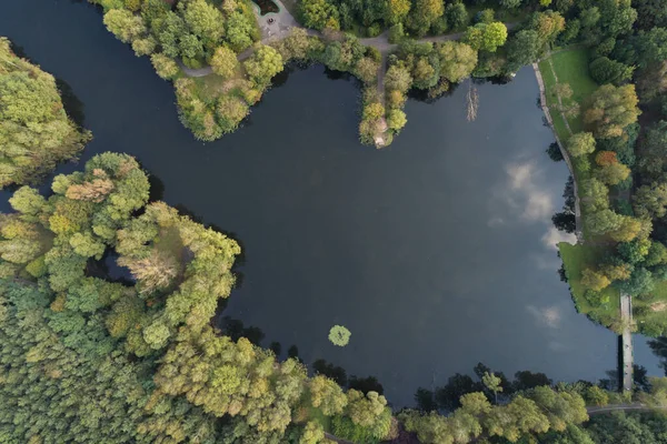 Parque Cidade Com Lago Árvores Verdes Vista Drone Sosnowiec Silésia — Fotografia de Stock
