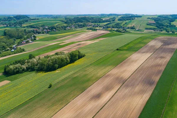 Village country farming shapes in field aerial drone photo view