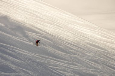 Alplerdeki kar tozu içinde özgürce dolaşmak. İsviçre Jungfrauregion 'deki İsviçre Alpleri.