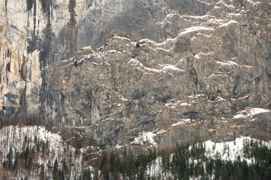 İsviçre 'nin Bern kantonundaki Interlaken Oberhasli bölgesinde Lauterbrunnen köyü. Lauterbrunnen Vadisi Kış zamanı.