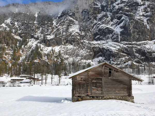 Schafe Dorf Lauterbrunnen Bezirk Interlaken Oberhasli Kanton Bern Der Schweiz — Stockfoto