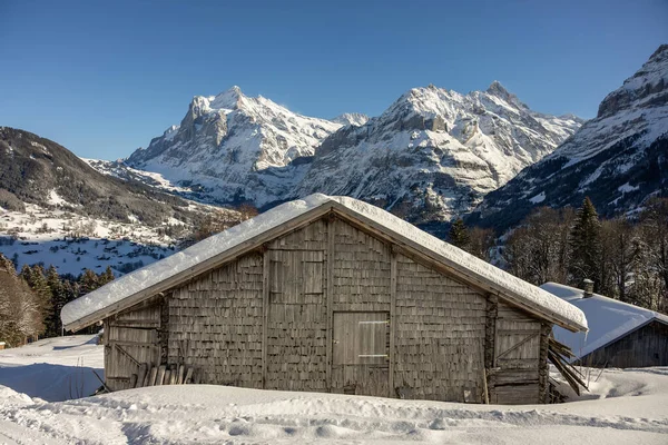 Vista Las Montañas Suizas Invierno Nubes Mittelhornin Schreckhorn Wetterhorn Alpes —  Fotos de Stock