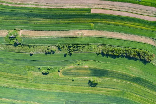 从无人飞机俯瞰的村庄波兰南部小波兰省克拉科夫县Suloszova村 波兰美丽的村庄 有房子和田地 — 图库照片