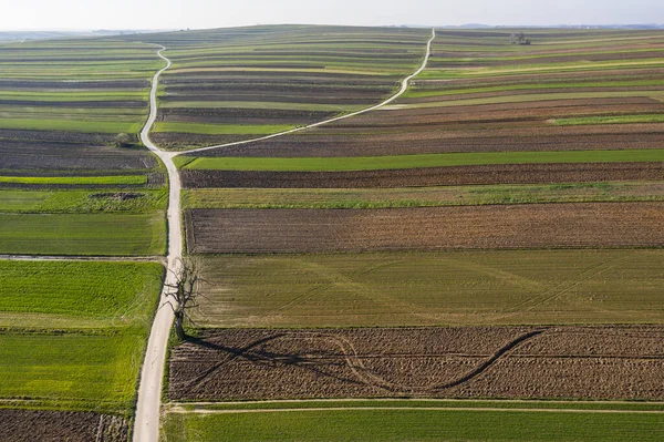 Aldea Desde Vista Aérea Drones Aldea Suloszowa Condado Cracovia Polonia —  Fotos de Stock