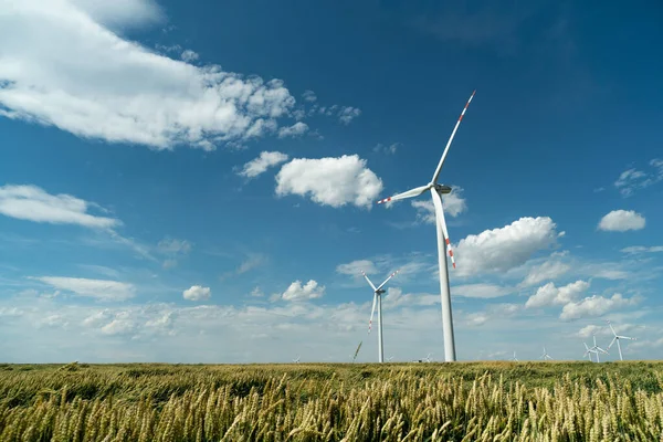 Ülkedeki Rüzgar Türbinleri Filtreleniyor Türbinler Çiftliği Hava Aracının Görüş Alanından — Stok fotoğraf