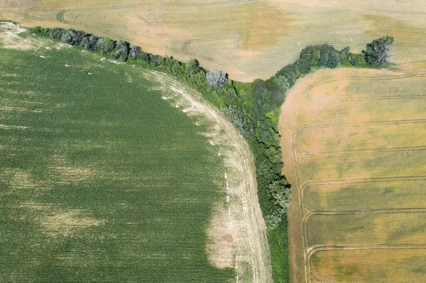 Nsansız Hava Aracı Görüntüsünden Köy Polonya Nysa Evleri Tarlaları Olan — Stok fotoğraf