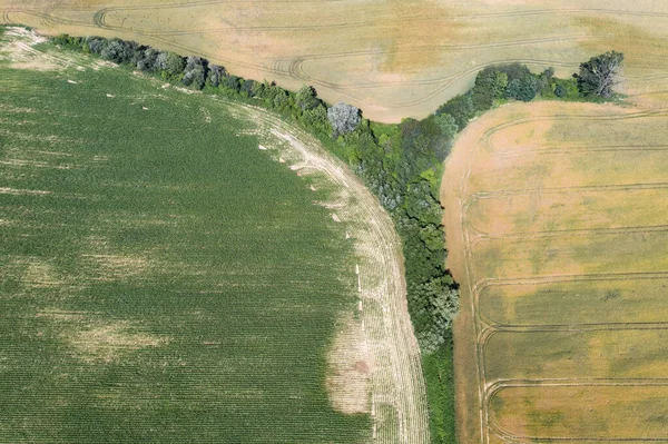 从无人飞机俯瞰的村庄波兰尼萨美丽的村庄 有房子和田地 波兰农田 — 图库照片