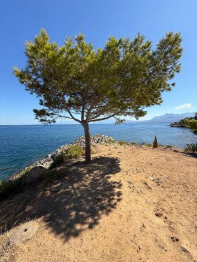 Sant Elia bay beach in Porticello town, Santa Flavia, Sicily, Italy. Sicilian turquoise waters, rocky cliffs, colorful houses, and Mediterranean coastline panorama in Bagheria.