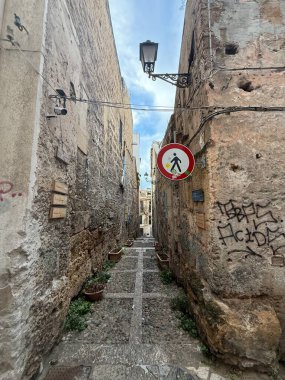 Palermo, the historic Sicilian capital city, featuring the monumental city gate, Palermo Cathedral, ornate baroque architecture, and charming narrow streets filled with history, Sicily, Italy.