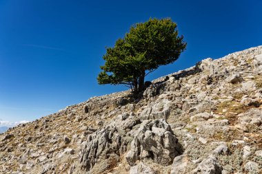 Red Trail on Pizzo Carbonara, the highest peak of Piano Battaglia, featuring panoramic mountain landscapes, rugged peaks, and scenic vistas in the Madonie Mountains, Sicily, Italy Carbonara mountain.