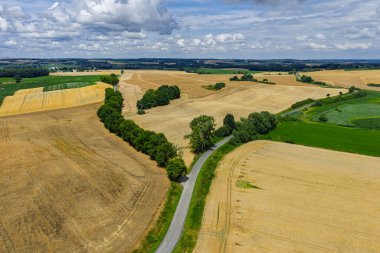 Polonya 'da Opole ve Nysa yakınlarındaki kırsal köylerin ve tarım alanlarının insansız hava aracı görüntüsü geometrik tarım arazileri, dağınık evler, dolambaçlı kır yolları ve gün ışığında yeşil çayırlar gösteriyor..
