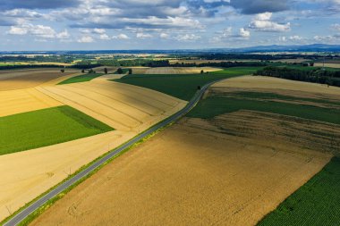 Polonya 'da Opole ve Nysa yakınlarındaki kırsal köylerin ve tarım alanlarının insansız hava aracı görüntüsü geometrik tarım arazileri, dağınık evler, dolambaçlı kır yolları ve gün ışığında yeşil çayırlar gösteriyor..