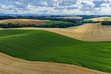 Polonya 'da Opole ve Nysa yakınlarındaki kırsal köylerin ve tarım alanlarının insansız hava aracı görüntüsü geometrik tarım arazileri, dağınık evler, dolambaçlı kır yolları ve gün ışığında yeşil çayırlar gösteriyor..