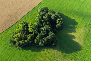 Polonya 'da Opole ve Nysa yakınlarındaki kırsal köylerin ve tarım alanlarının insansız hava aracı görüntüsü geometrik tarım arazileri, dağınık evler, dolambaçlı kır yolları ve gün ışığında yeşil çayırlar gösteriyor..
