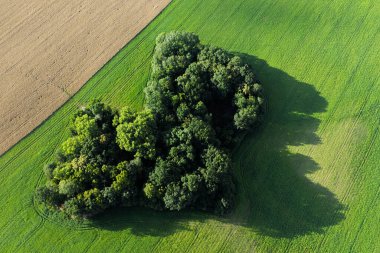 Polonya 'da Opole ve Nysa yakınlarındaki kırsal köylerin ve tarım alanlarının insansız hava aracı görüntüsü geometrik tarım arazileri, dağınık evler, dolambaçlı kır yolları ve gün ışığında yeşil çayırlar gösteriyor..