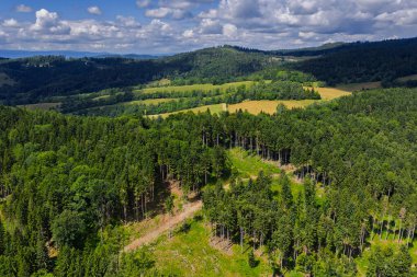 Ladek Zdroj şehrinin panoramik görüntüsü, Polonya 'nın Klodzko Vadisi manzarasında, yemyeşil ve Altın Dağlar' ın yuvarlanan tepeleriyle çevrili.. 