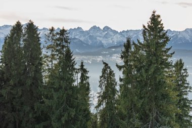 Zakopane yakınlarındaki Czarna Gora 'dan gelen Tatra Dağları' nın insansız hava aracı görüntüsü, kış sıradağlarını, ormanlı tepeleri, köy manzarasını ve sakin akşamüstü alp manzarasını gösteriyor..