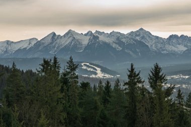 Zakopane yakınlarındaki Czarna Gora 'dan gelen Tatra Dağları' nın insansız hava aracı görüntüsü, kış sıradağlarını, ormanlı tepeleri, köy manzarasını ve sakin akşamüstü alp manzarasını gösteriyor..