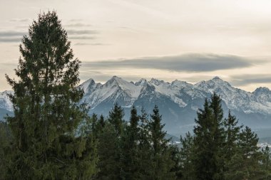Zakopane yakınlarındaki Czarna Gora 'dan gelen Tatra Dağları' nın insansız hava aracı görüntüsü, kış sıradağlarını, ormanlı tepeleri, köy manzarasını ve sakin akşamüstü alp manzarasını gösteriyor..