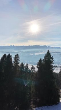 Zakopane yakınlarındaki Czarna Gora 'dan gelen Tatra Dağları' nın insansız hava aracı görüntüsü, kış sıradağlarını, ormanlı tepeleri, köy manzarasını ve sakin akşamüstü alp manzarasını gösteriyor.