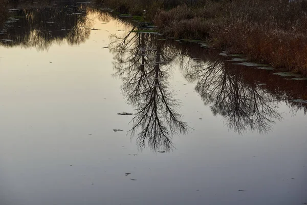 Längs Stranden Floden Snezhet Solnedgång Över Flodslätten — Stockfoto