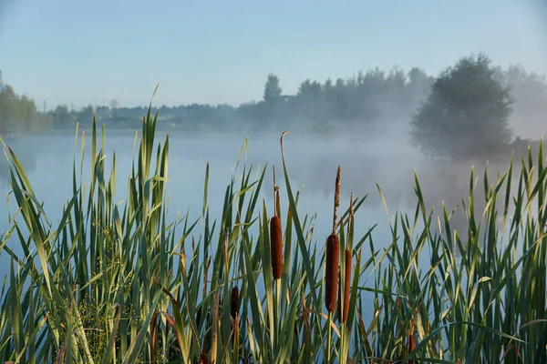 Pesca Sul Lago Riflessione Acqua Centro Ricreativo Agosto 2021 — Foto Stock