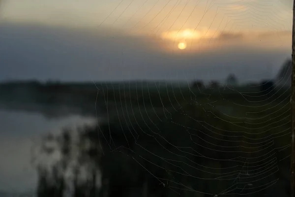 거미줄의 이슬에 호수에서 센터요 2021 — 스톡 사진