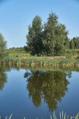 Gölde balık tutmak. Suda yansıma. Dinlenme merkezi. Ağustos 2021.