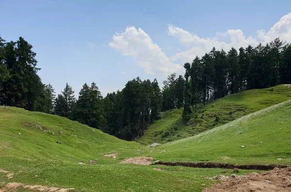 印度喜马偕尔邦青山绿树蓝天景致秀丽 — 图库照片