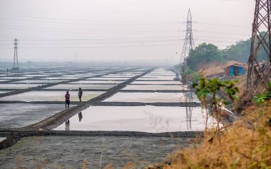 MUMBAI, INDIA - 17 Aralık 2020: Deniz tuzu tarlasında ve arka planda yüksek voltajlı elektrik hatları olan ambarda kimliği belirsiz işçiler
