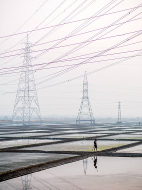 MUMBAI, INDIA - 17 Aralık 2020: Deniz tuzu tarlasında ve arka planda yüksek voltajlı elektrik hatları olan ambarda kimliği belirsiz işçiler