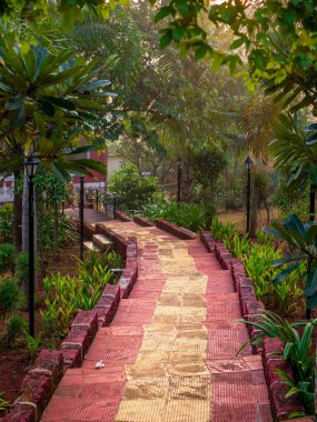 Ağaçlarla çevrili bir bahçeye çıkan güzel merdivenler.