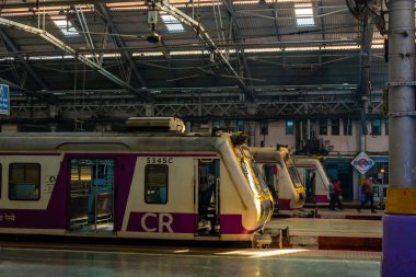 Mumbai, Hindistan - 7 Ocak 2021: Viktorya dönemi mimarisi ile CST istasyonunda duran boş trenler Mumbai 'deki işçi sınıfı için en yoğun tren istasyonlarından biridir.