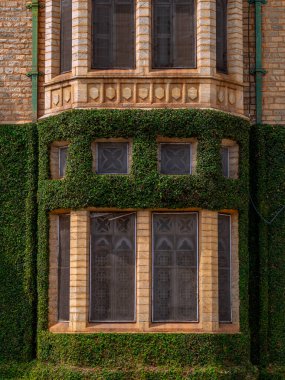 Bangalore 'da sanatsal pencereli Saray cephesinde dikey bahçe