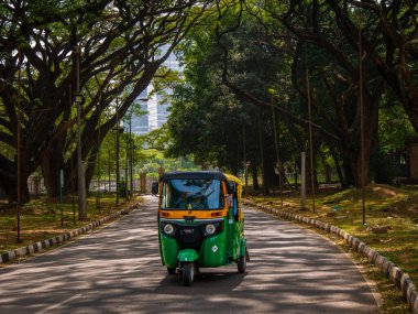 Bangalore, INDIA - 12 Aralık 2024: Tuk-tuk ya da otomobil triportörü Hindistan, Bangalore ya da Bengaluru Bahçe şehrinde büyük ağaçlar ve yemyeşil çimlerle çevrili.