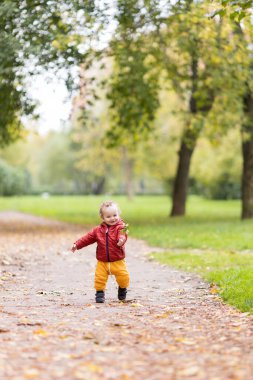 Küçük çocuk sonbahar parkında düşen yapraklarla yolda yürüyor.