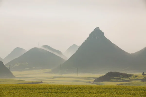 Champ de fleurs de colza jaune avec la brume à Luoping, Chine — Photo