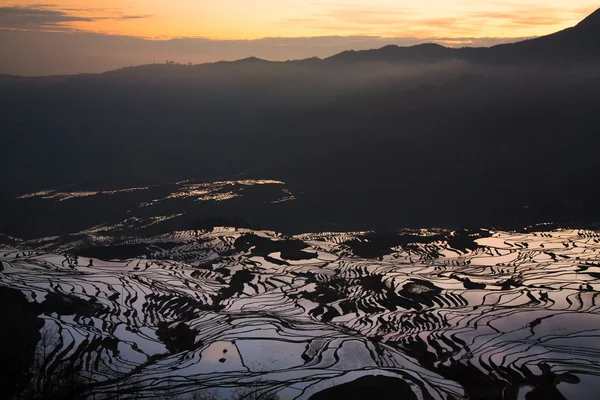 Plaines de riz en terrasses pendant la saison de l'eau des Hani dans la province du Yunnan, en Chine . — Photo