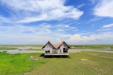 Mavi gökyüzü, beyaz bulutlar, yeşil çim ve açık aralığı arazi ile terk edilmiş kulübe Tayland'da hakim