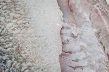 Taze çiğ balık (beyaz levrek fileto)