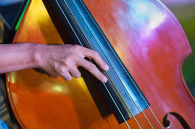 Akustik kontrbas çalar