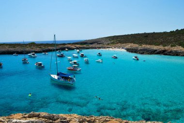 Kristal berrak sular ve bir sürü bitki örtüsüyle bir kumsalda demirleyen kayıklar.