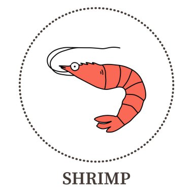 Beyaz arkaplanda soyut deniz karidesi - Vektör illüstrasyonu